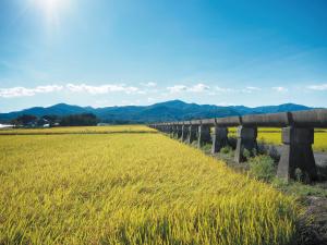 広報こおりやま2025年11月号