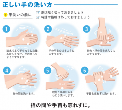 正しい手の洗い方