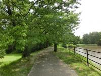 鹿嶋池農村公園