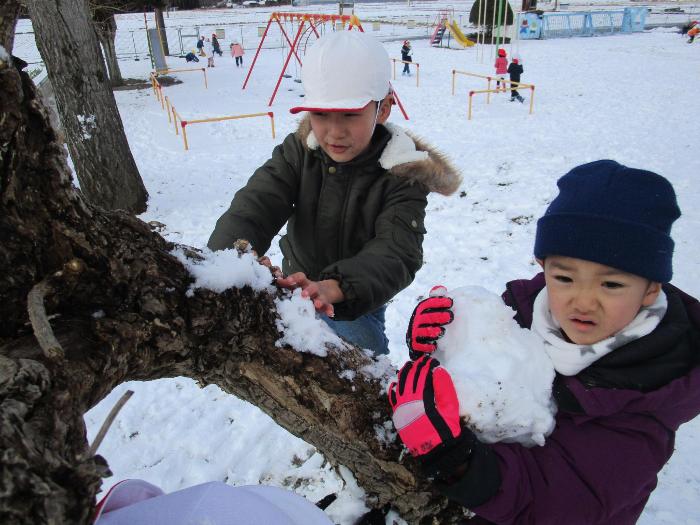 雪集め