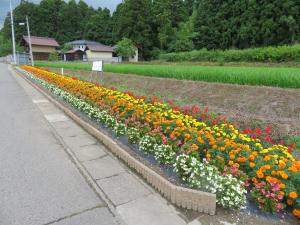 長くきれいな花壇