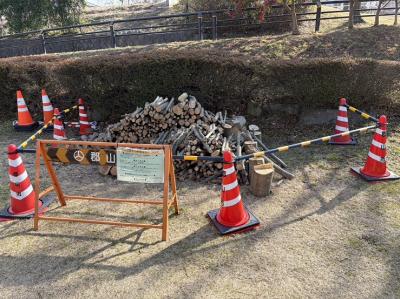 伐採木の状況(3月2日現在)