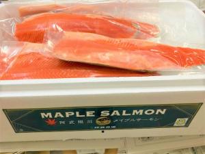 メイプルサーモン