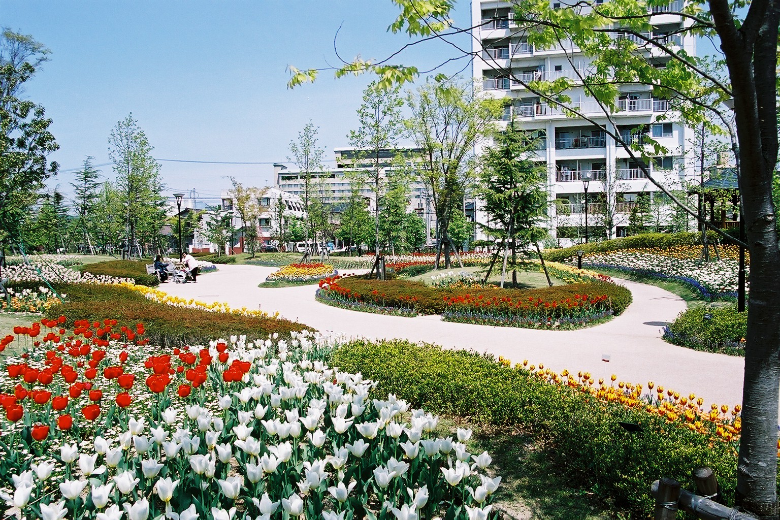 21世紀記念公園の花壇