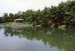 待池公園の写真