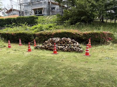 伐採木配布状況