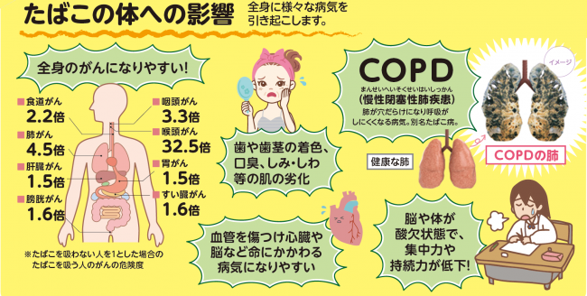 タバコの健康影響イラスト