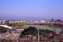 開成山公園の遠景の写真