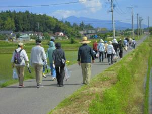 田んぼの中
