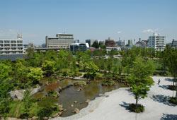 21世紀記念公園麓山の杜の画像