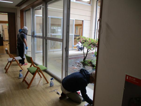 窓ふきや網戸の掃除