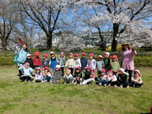 ぶどう組 桜の下で集合写真