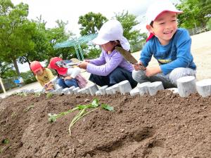 苗植えを楽しむ子どもたち