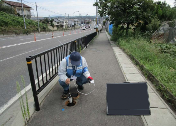 kannsi