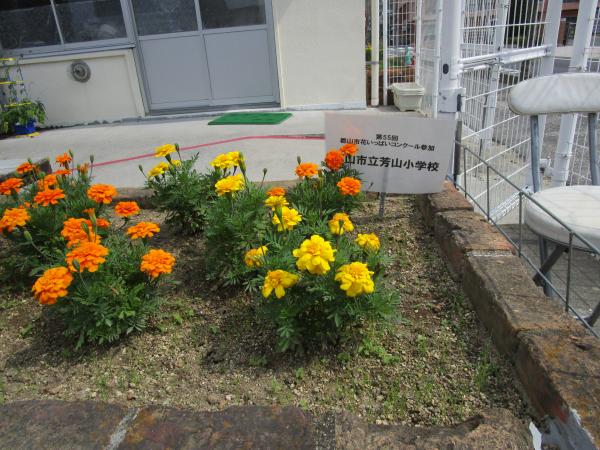 花２