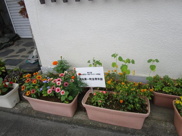 花３