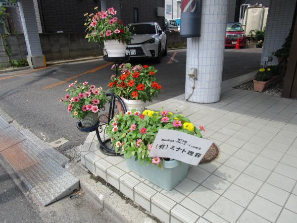 花６