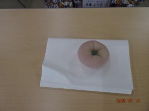 DSC022231.JPG