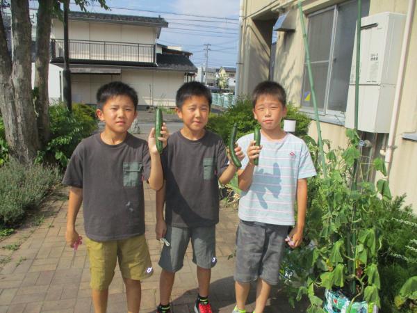 参加者のじどうです。