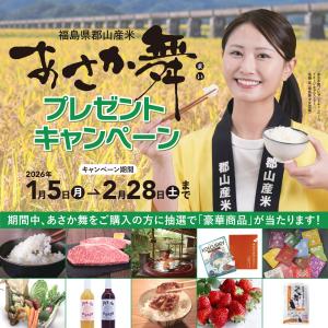 あさか舞プレゼントキャンペーン画像