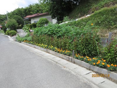 下道渡行政区3