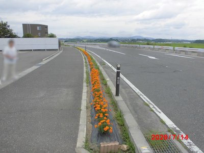 セブンイレブン郡山日大南店2