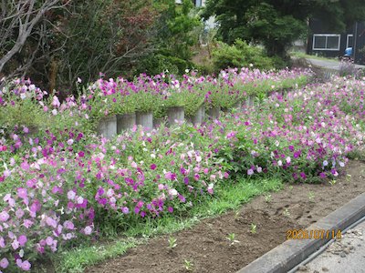 穂多礼花愛好会3