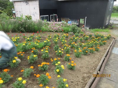 岩作花愛好会3