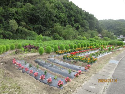 栃本花愛好会1