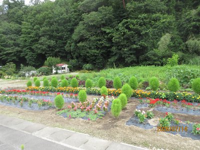 栃本花愛好会2