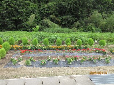 栃本花愛好会3