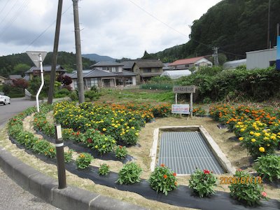 富永平内花を愛する会1