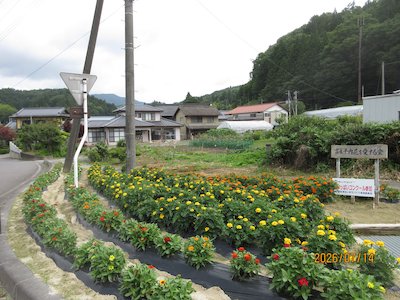 富永平内花を愛する会2