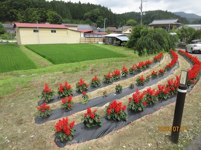 富永平内花を愛する会4