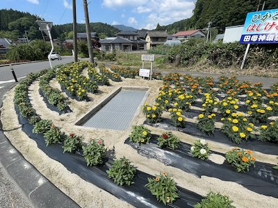富永・平内花を愛する会7