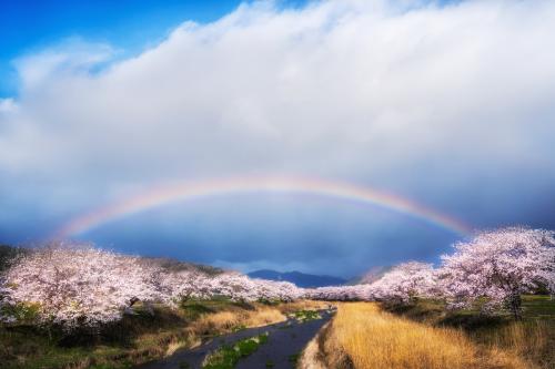天栄村賞