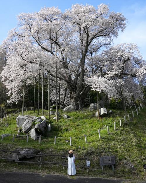 古殿町賞