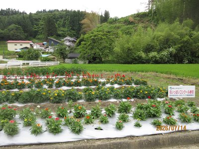 赤坂花愛好会1
