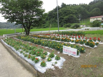赤坂花愛好会2