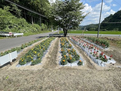 赤坂花愛好会3