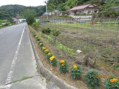 元気なふるさとを創る会3
