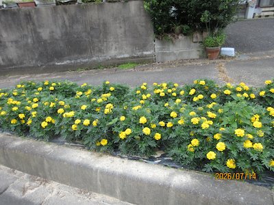 栃山神行政区1