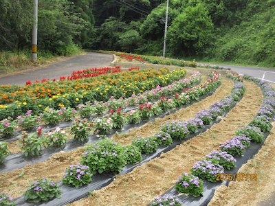 栃山神行政区4