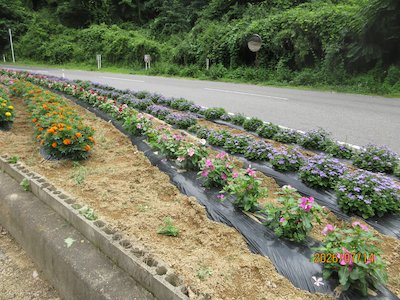 栃山神行政区5
