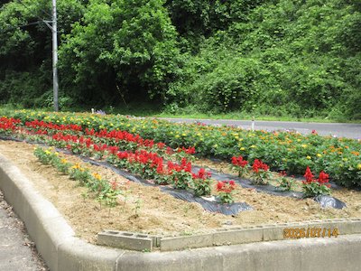 栃山神行政区6