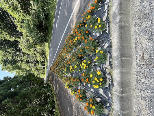 栃山神行政区8