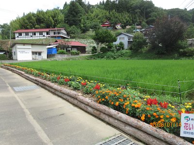 川曲自然保全会2