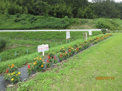 細田行政区2