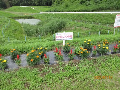 細田行政区3