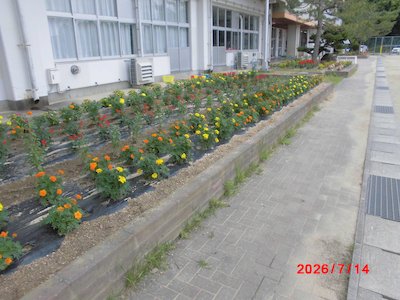 郡山市立守山小学校3